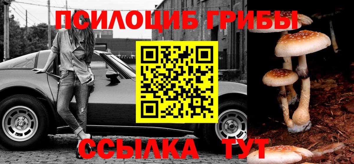Когалым  Псилоцибиновые грибы GOLDEN TEACHER  закладки  Вход с VPN  Галлюциногенные грибы MAGIC MUSHROOMS 